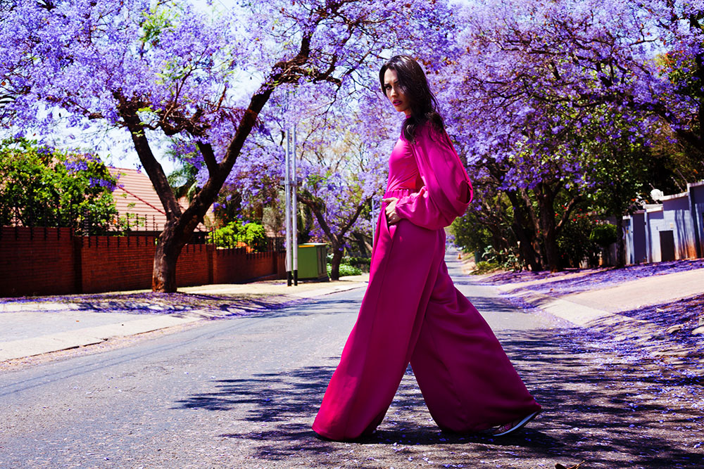 Jacaranda photography in October is a splash of purple in the streets.