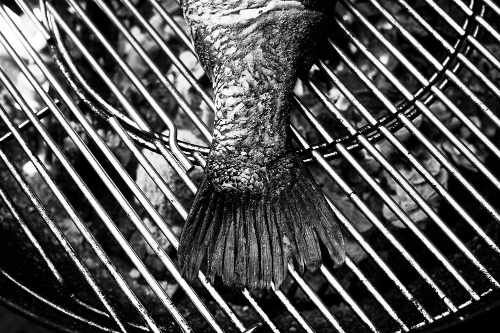 Barramundi Fish Barbecue