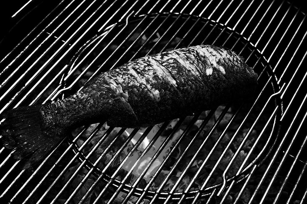 Barramundi fish barbecue with tropical flames fire cooked in the Pretoria rain.